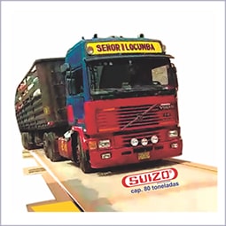 Balanzas Camioneras