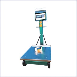 Balanza Electrónica